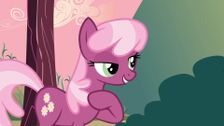 S2 E17: Hearts and Hooves Day