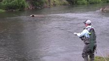 S2 E2: On the Fly