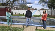 S238 E13: Long Island Oasis