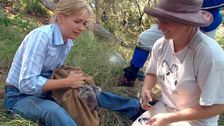 S2 E8: Animal Tales