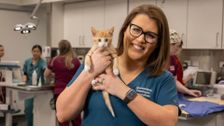 S2 E1: For the Love of Pets