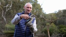 S13 E12: The Great Australian Doorstep