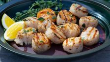 S4 E7: Pop's Pancakes and Symon's Scallops
