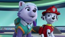 S6 E17: Pups Save the Bears; Pups Save a Farmerless Farm