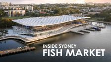 Inside Sydney Fish Market