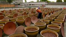 S1 E7: Sichuan and Hunan