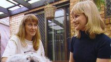 S1 E2: Animal Tales