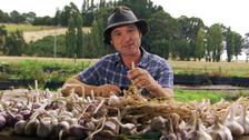 S29 E16: Gardening Australia