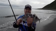 S11 E6: Fishy Feast