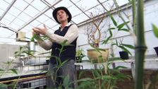 S28 E27: Gardening Australia