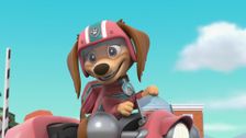 S9 E1: Liberty Makes a New Friend; Pups Save the Pup Pup Boogie Contest