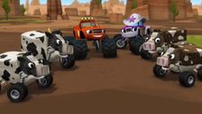 S1 E18: Cattle Drive