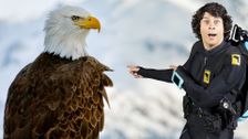 S1 E12: Andy and the Bald Eagles