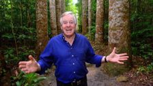 S23 E20: Better Homes and Gardens