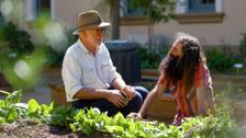 S29 E5: Gardening Australia