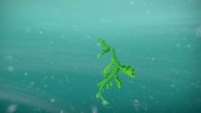 S3 E18: Leafy Sea Dragons
