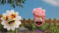 S1 E38: Colors