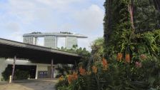 S139 E7: A Fresh Start in Singapore