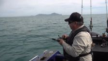 S10 E1: Basic Fishing