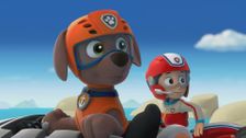 S1 E1: Pups Make a Splash; Pups Fall Festival