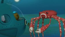 S1 E50: The Giant Spider Crab