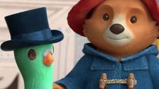 Paddington Finds a Pigeon