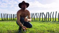 S1 E3: The Swamp Cowboys