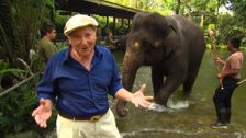 S1 E1: Dr Harry's Animal Encounters