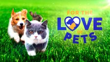 For the Love of Pets