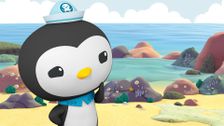 S4 E6: Octonauts and the Mantis Shrimp