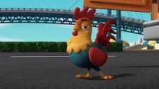 S8 E1: Pups Save a Runaway Rooster; Pups Save a Snowbound Cow