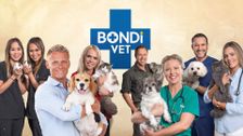 Bondi Vet