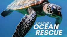 Gold Coast Ocean Rescue