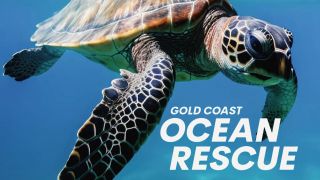 Gold Coast Ocean Rescue