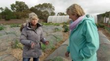 S27 E26: Gardening Australia