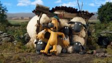S6 E8: Room with a Ewe