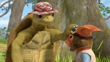 S3 E51: The Tale of the Great Tortoise Rescue