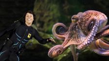 S1 E7: Andy and the Common Octopus