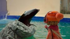 S1 E24: Animal Talk