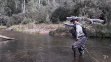 S10 E5: On the Fly