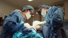 S1 E2: This Little Piggy Went to Surgery