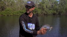S7 E13: AFN Fishing Show