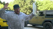 S2 E6: Maxant