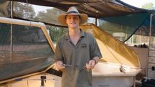 S6 E13: The 4WD Adventure Show