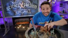 S1 E41: Fossil Finds