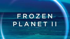 Frozen Planet II