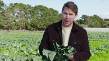 S3 E9: Freshly Picked with Simon Toohey