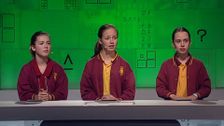 S14 E14: It's Academic