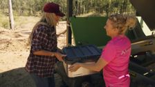 S1 E4: Gold Wars Downunder