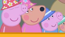 S7 E18: The Great Barrier Reef
